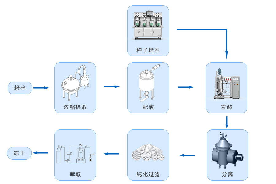 生物發(fā)酵提取流程圖